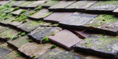 Audley roof repair costs